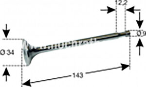 Auslassventil Stey 190/288/290 (500014107) Um