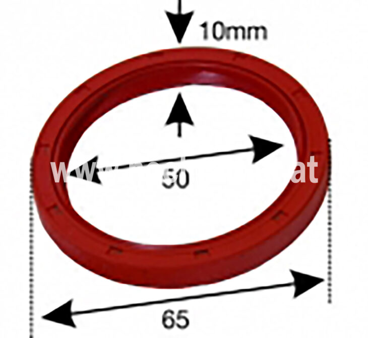 Kurbelwellensimmering Vorne (500122001) Um