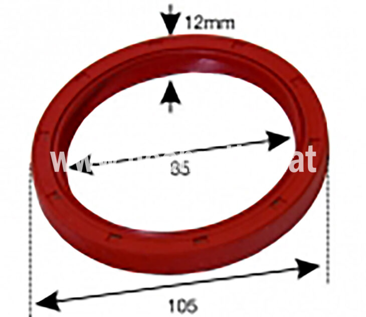 Kurbelwellensimmering Hinten (500122002) Um