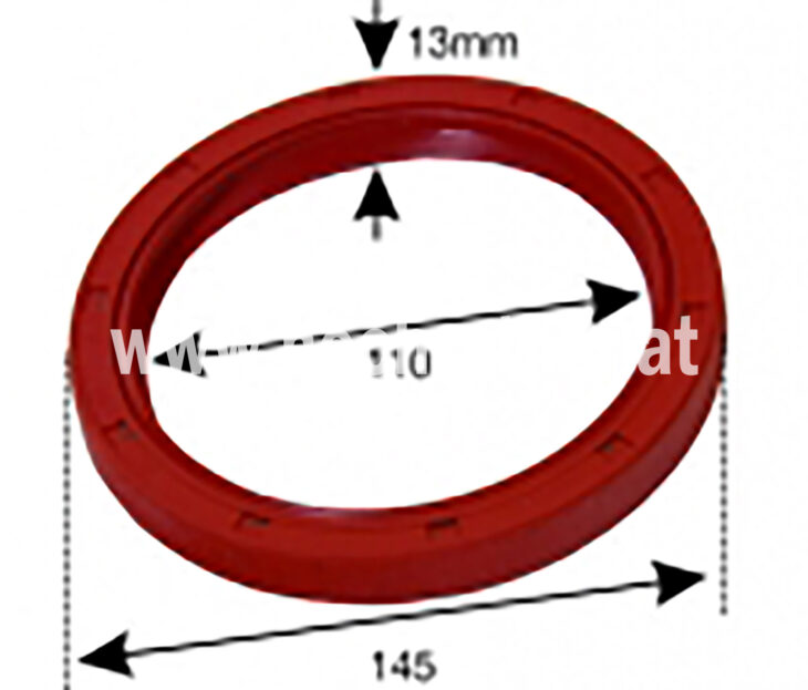 Kurbelwellensimmering St188Hin (500122004) Um