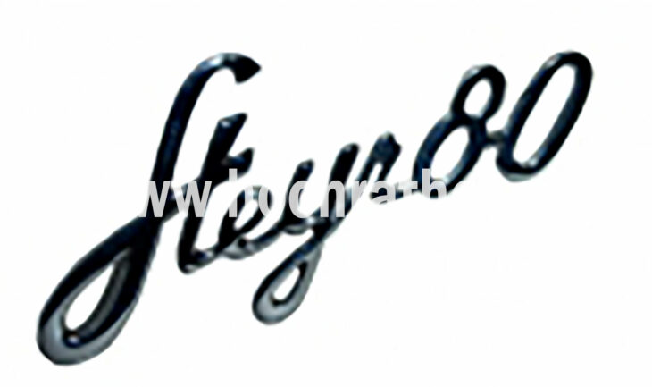 Schriftzug Steyr T80 (130310080) Um