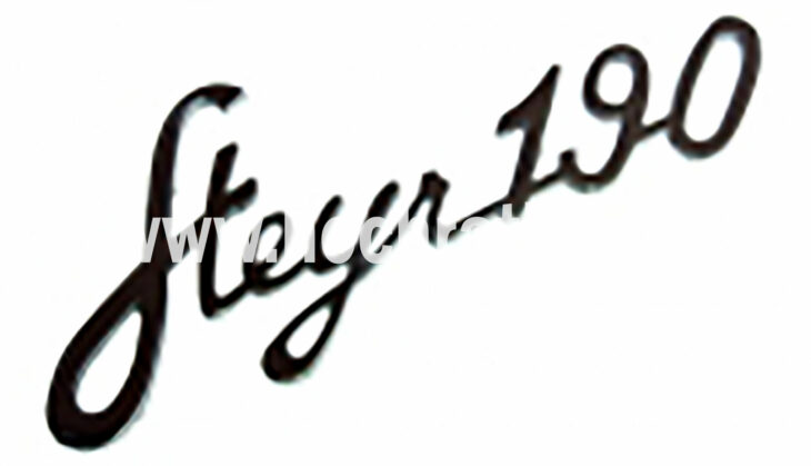 Schriftzug Steyr T190 (130310190) Um Schriftzug Steyr T190 (130310190) Um