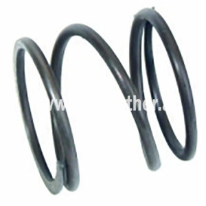 Feder Dieselfilter T80 (501190002) Um