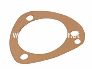 Dichtung für Wasserpumpe (503019829) Um