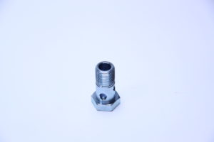 Hohlschraube A18X1,5 B36 (00811047)  Prillinger