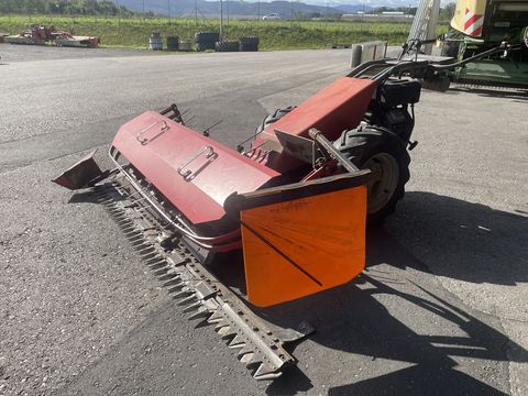 Aebi Am 41 Eingrasmaeher