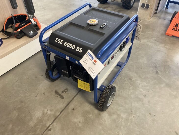 Endress ESE 6000BS 2