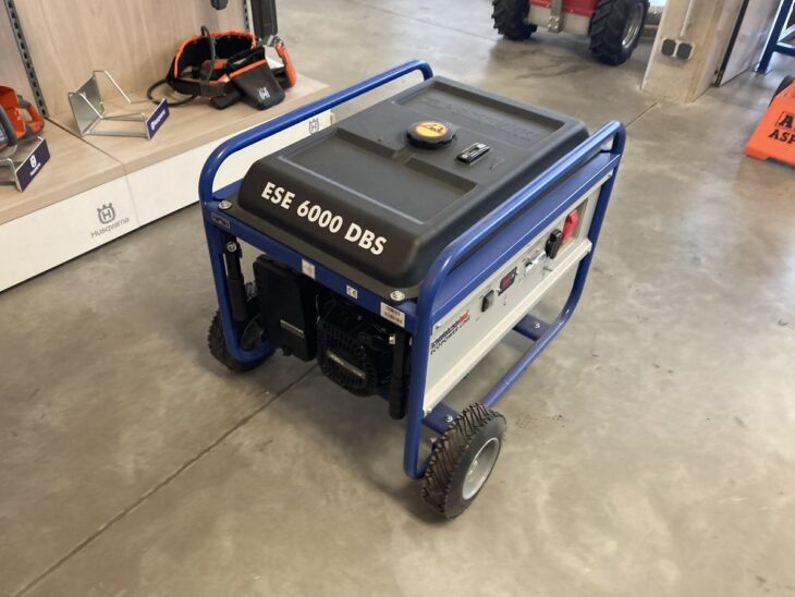 Endress ESE 6000DBS 3