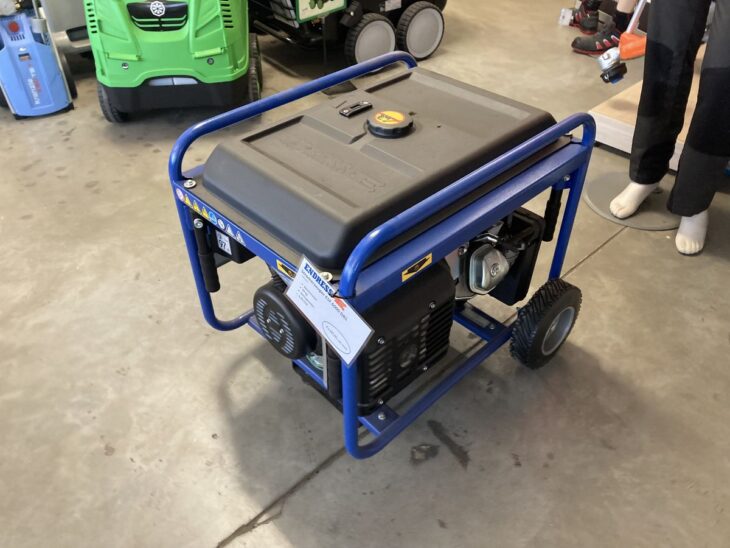 Endress ESE 6000DBS 5