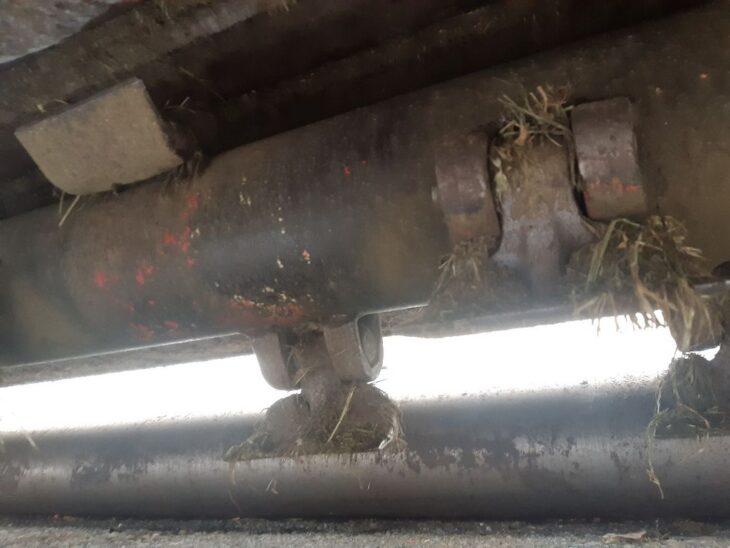 VogelNoot-Master-Cut-TSA-220-2026-01-15-hochrather-14 VogelNoot-Master-Cut-TSA-220-2026-01-15-hochrather-14