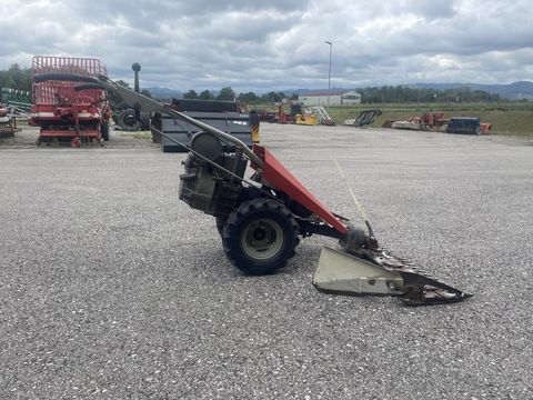 Bucher M 150 Bucher M 150