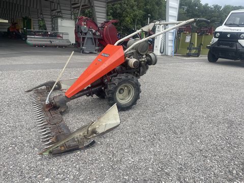 Bucher M 150 Bucher M 150