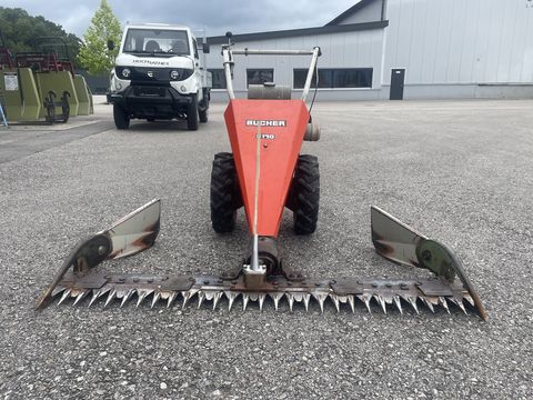 Bucher M 150 Bucher M 150