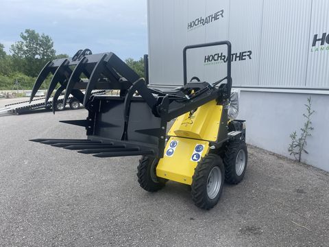 Tur Poland Mini HOFLADER - kraftvoll & wendig Tur Poland Mini HOFLADER - kraftvoll & wendig